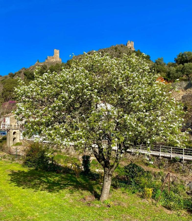 4 Star Cabaret Lastours 4 Chateaux Amazing Cathar Landmark Private Luxury 4 Star Air Conditioned Terrasse With Views Exteriör bild