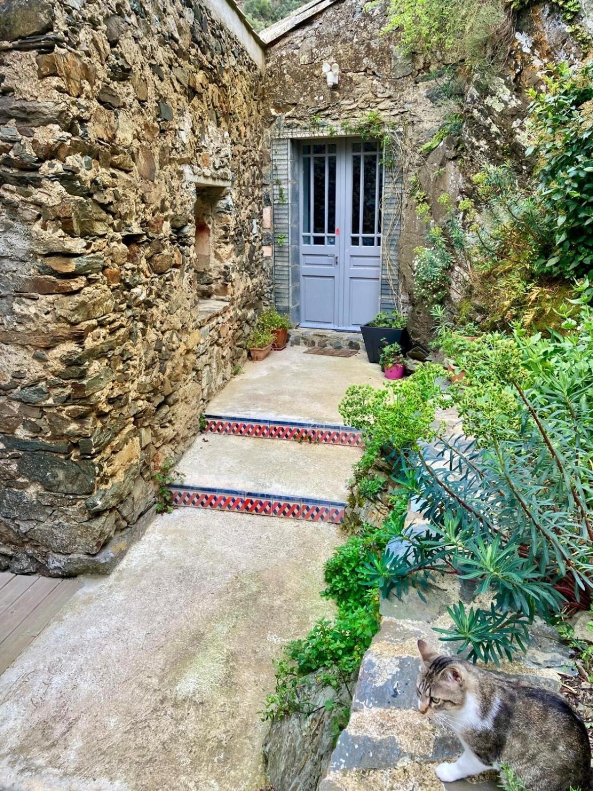 4 Star Cabaret Lastours 4 Chateaux Amazing Cathar Landmark Private Luxury 4 Star Air Conditioned Terrasse With Views Exteriör bild